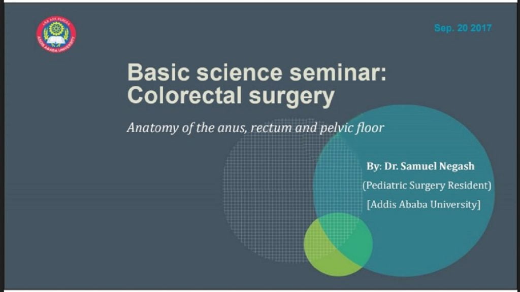 anorectal and pelvic anatomy